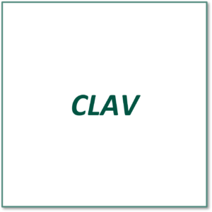 Logo client